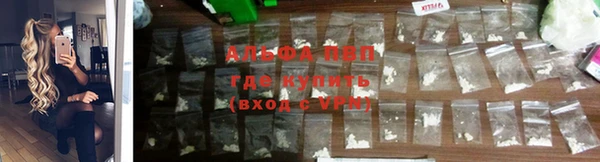 PSILOCYBIN Заводоуковск