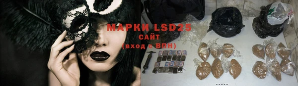 PSILOCYBIN Заводоуковск