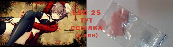 PSILOCYBIN Заводоуковск