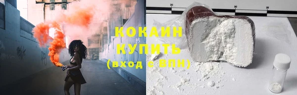 PSILOCYBIN Заводоуковск