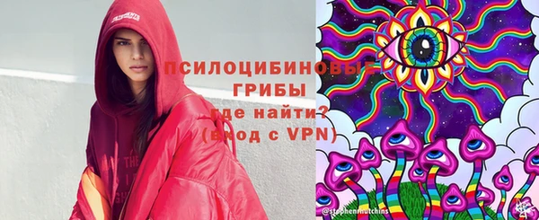 гашик Заволжск