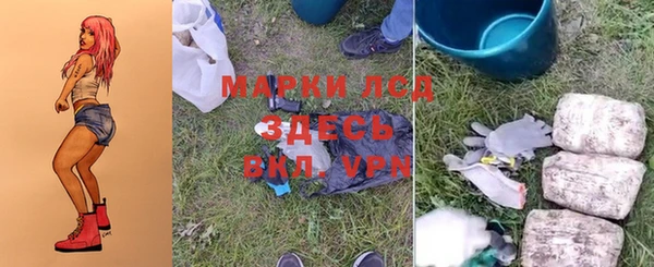 PSILOCYBIN Заводоуковск