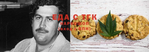 PSILOCYBIN Заводоуковск